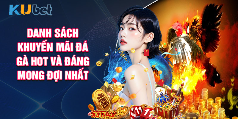 Danh Sách Khuyến Mãi Đá Gà Hot Và Đáng Mong Đợi Nhất