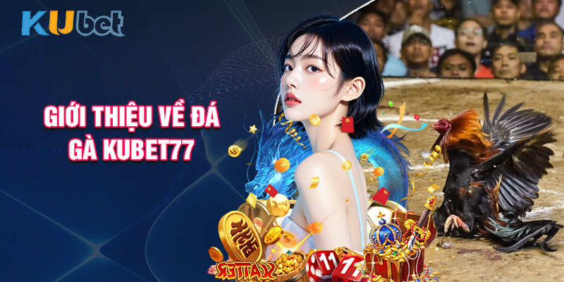 Giới Thiệu Về Đá Gà Kubet77